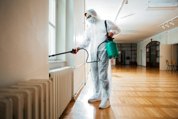 Real Estate Pest Inspections in Demarest, NJ